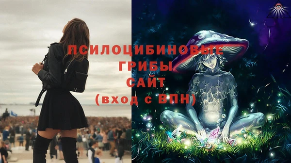 молекула духа Алзамай