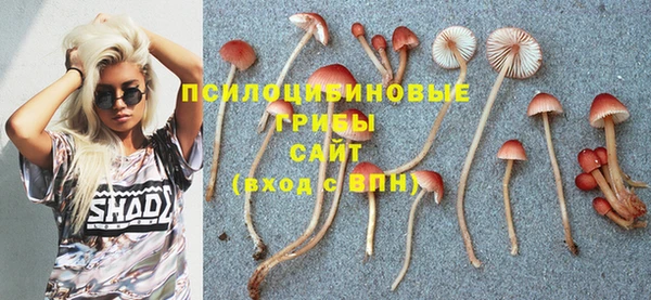 а пвп мука Алексин