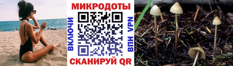 Псилоцибиновые грибы Cubensis  Купить закладки  Апатиты 